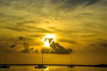 Sunset at Key West Florida USA with birds flying on the sky