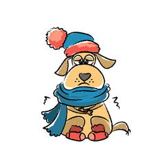 Sad dog with hat and scarf,isolated on white background