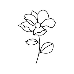 website, isolated, rose, floral, chrysanthemum, orchid, blank, flower, concept, sign, vector, symbol, internet, contemporary, stencil, summer, graphic, bloom, element, drawing, woodcut, black, abstrac