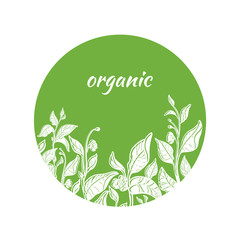 Vector template with green tea branches in circle.