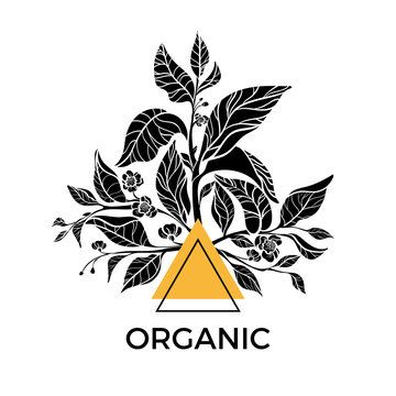 Trendy vector template. Tea branches with leaves and flowers