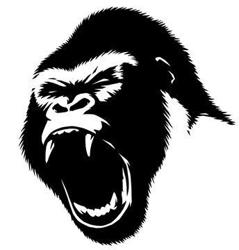 black and white linear paint draw monkey illustration