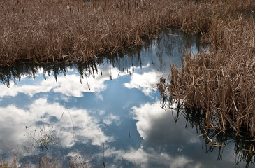 Mirroring the sky in the water