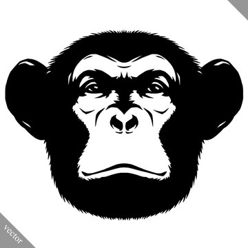 black and white linear paint draw monkey vector illustration