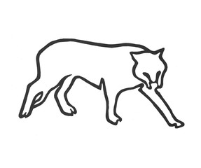 Thi is abstract wild tiger. Thi is kolage of wild animal tiger. It's cutting and gluing paper to paper.