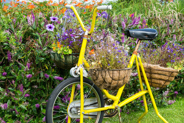 Fototapeta na wymiar Hanging Baskets on a Bicycle.