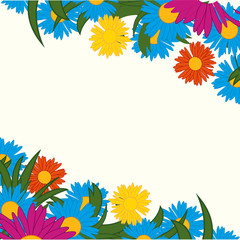 Flower on white background