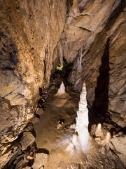 Szata naciekowa Jaskini Niedźwiedziej w Sudetach