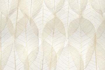 Dried leaves background