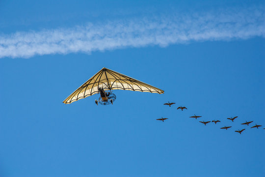 ULM en vol accompagn&eacute; par un vol d'oiseaux