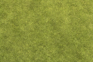 Grass Texture - 183062880