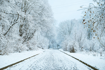Obraz premium city park in snow in winter morning