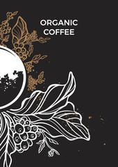 Branch of coffee tree with leaves, flowers and coffee beans. Botanical template