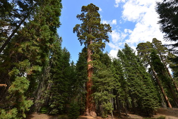 Trip to Nevada and California, USA