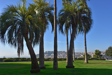 Napoli.  Reggia di Capodimonte, costruita a partire dal 1738 per volere di Re Carlo di Borbone, &egrave; un palazzo reale, con annesso un parco.  Belvedere con vista su Napoli 