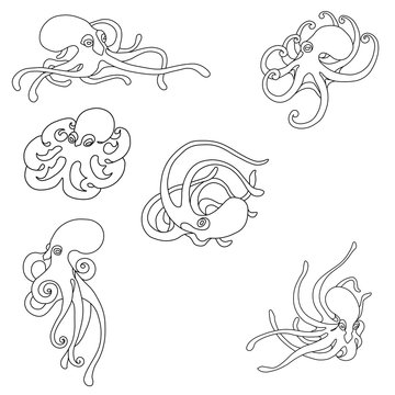 Octopus Coloring Set