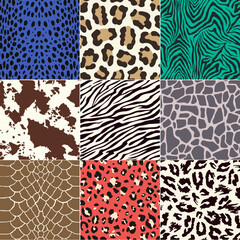 seamless animal skin pattern - 183070405