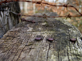 Madera con alambre oxidado al aire libre