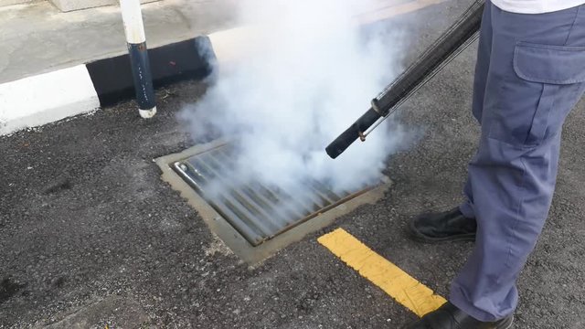 Technician fogging into drain to kill aedes mosquito, carrier of dengue and zika fever virus 


