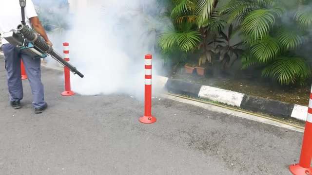 Technician fogging into drain to kill aedes mosquito, carrier of dengue and zika fever virus 

