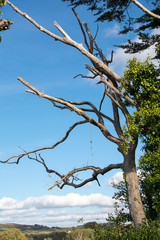 Wild Atlantic Way, Sheep's Head Peninsular