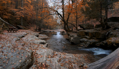 Autumn Colors in the River