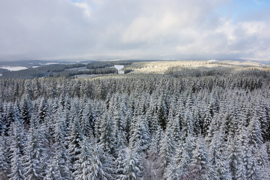 Winter, Winterzeit, Schnee, Schwarzwald, Spaziergang, Wandern
