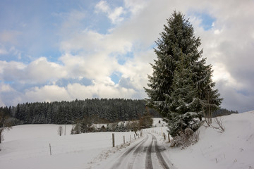 Winter, Winterzeit, Schnee, Schwarzwald, Spaziergang, Wandern