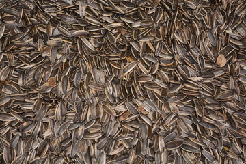 The sunflower seed is the fruit of the sunflower