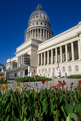 Blumen vor dem Kapitol in Havanna