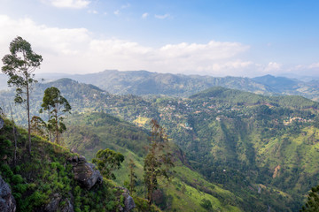 Fototapeta premium Ella is a small town in the highlands of Sri Lanka. Approx 1000m high, the town is rich on bio-diversity, surrounded by forest and tea plantations. Located in the Uva province