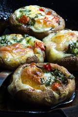 Gefüllte Champignons mit Käse überbacken als vegetarisches Gericht in Nahaufnahme vor schwarzen Hintergrund