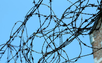 tangle of barbed wire to delimit the area not to be crossed