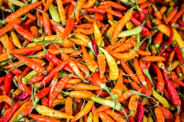 Colorful peppers