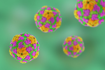 Obraz na płótnie Canvas Hepatitis A virus, 3D illustration