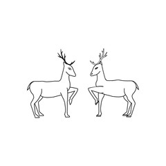 Two deer isolated