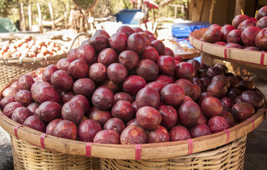 Passion Fruit was sold in the fruit market in northern Thailand.