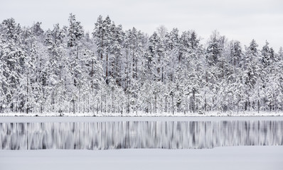 Naklejka premium Beautiful first snow in the pond in Finland in December