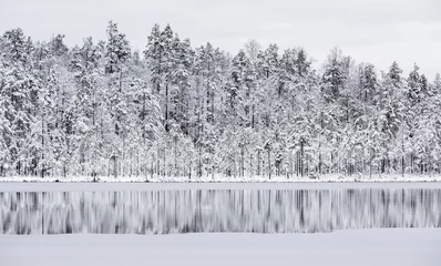 Papier Peint photo Hiver Beautiful first snow in the pond in Finland in December
