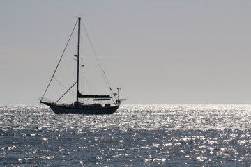 Fototapeta premium Sailing boat on the atlantic ocean in backlight
