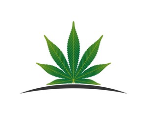 Cannabis consulting