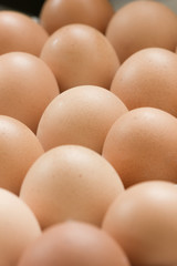 Chicken Egg fresh from farm.