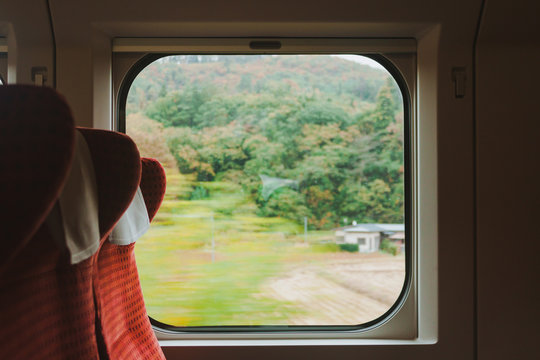 Traveling will widen your world