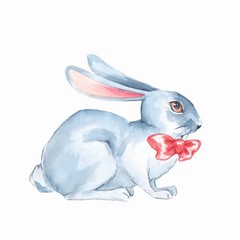 Fototapeta na wymiar White rabbit. Watercolor illustration. Isolated on white background