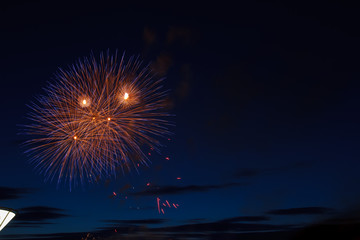 Fireworks in the night sky