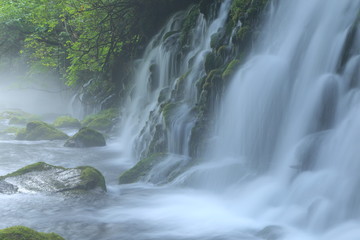Obraz premium 元滝伏流水 Mototaki waterfall / Nikaho, Akita, Japan