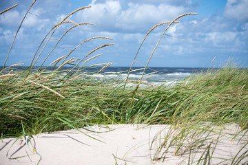 Dunes and sea