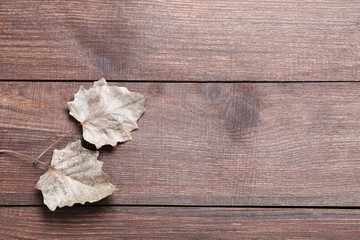 Autumn leafs on brown wooden table