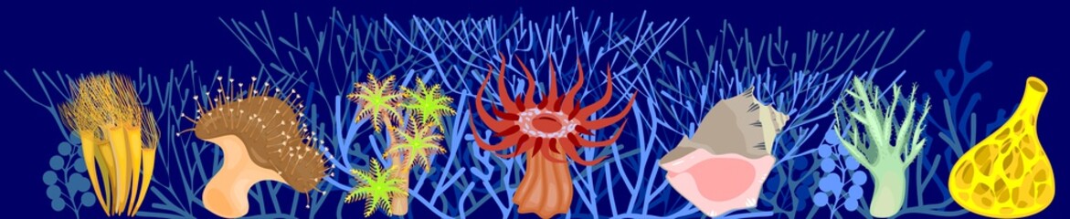 Different corals on blue marine background with stylized branched corals © Kazakova Maryia