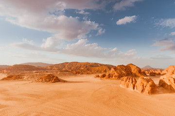 Fototapeta na wymiar Gold arid desert landscape Sinai, Egypt